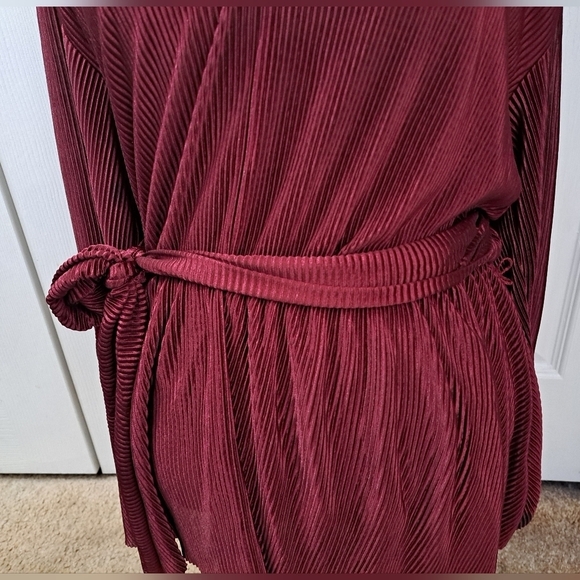 NWT Floral & Ivy Wine Pleated V-Neck Tunic - Picture 5 of 10